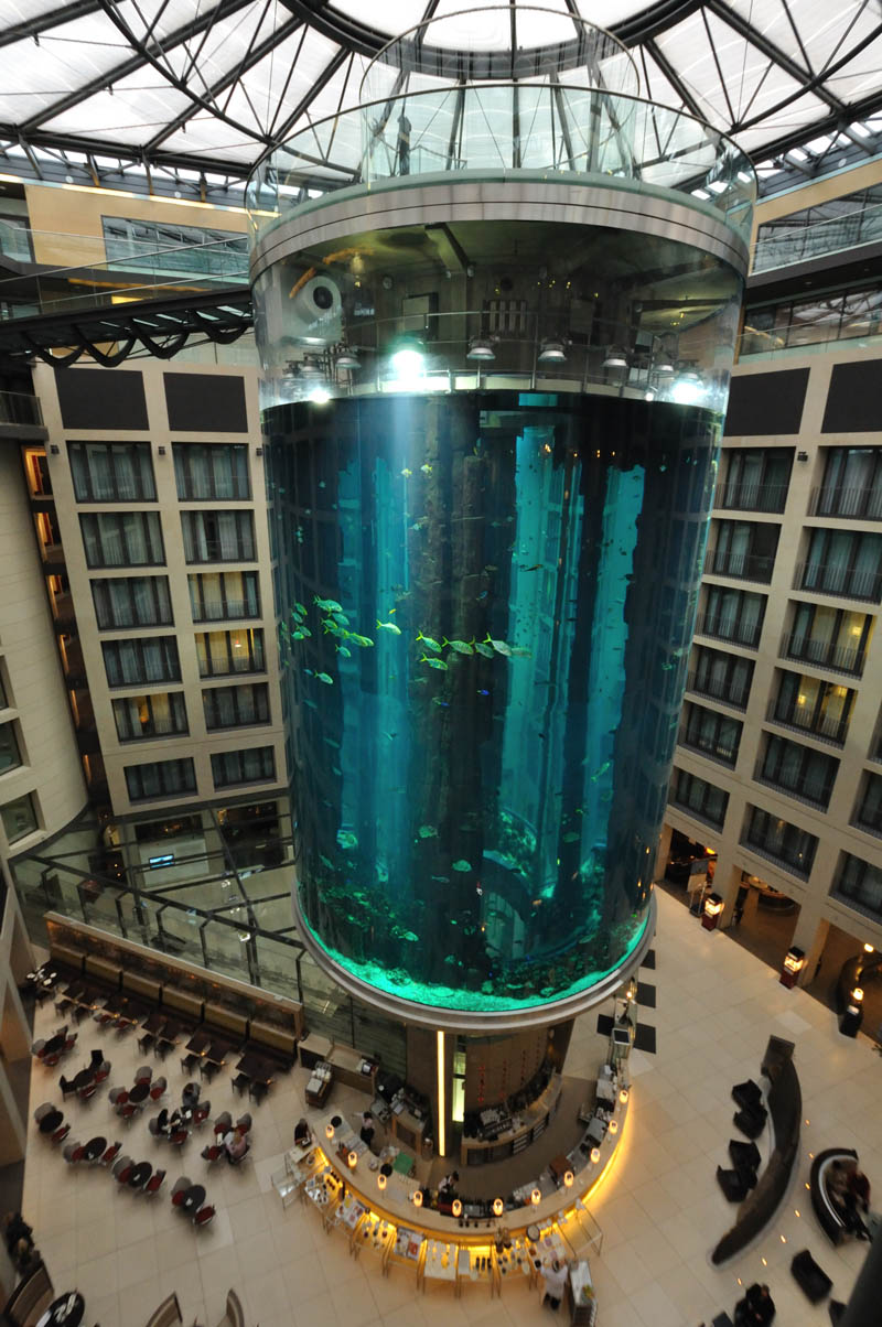 aquadom berlin germany biggest freestanding aquarium in the world Picture of the Day: Worlds Largest Free Standing Aquarium