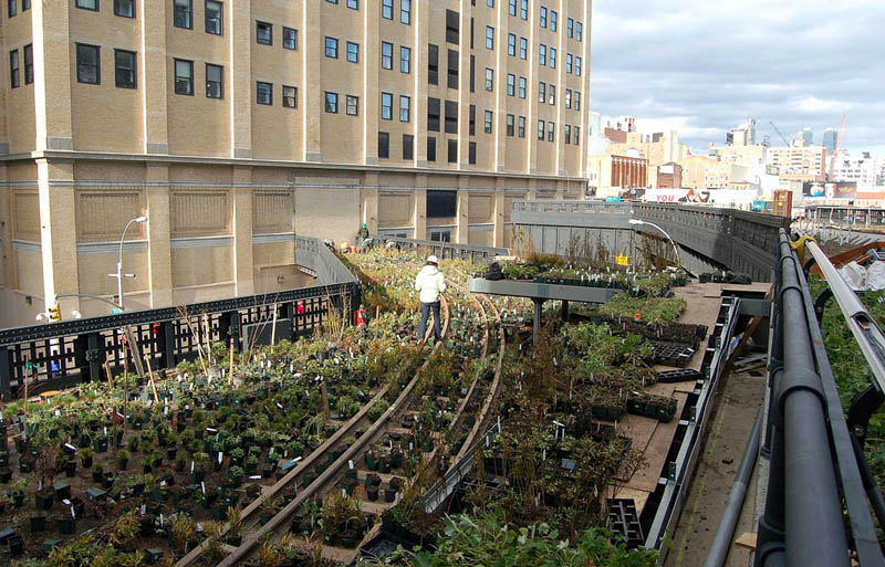 gardening high line nyc The High Line: New Yorks Park in the Sky [25 pics]
