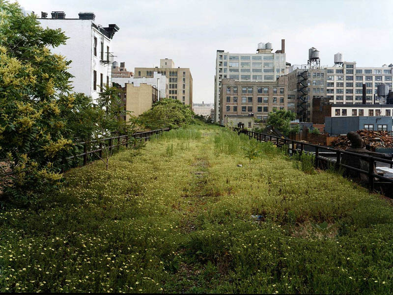 high line covered in plants The High Line: New Yorks Park in the Sky [25 pics]