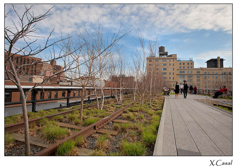 new york high line manhattan 12 The High Line: New Yorks Park in the Sky [25 pics]