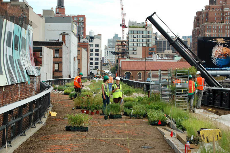 planting high line new york city The High Line: New Yorks Park in the Sky [25 pics]