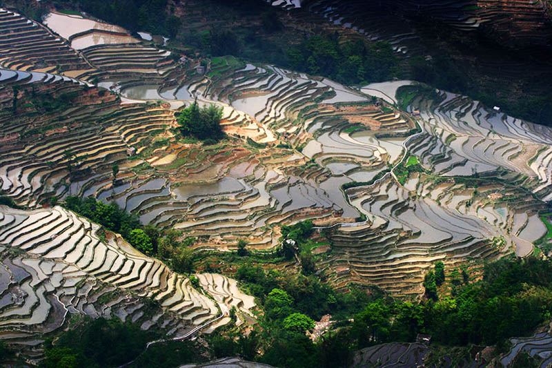 rice terraces 13 25 Unbelievable Photographs of Rice Terraces