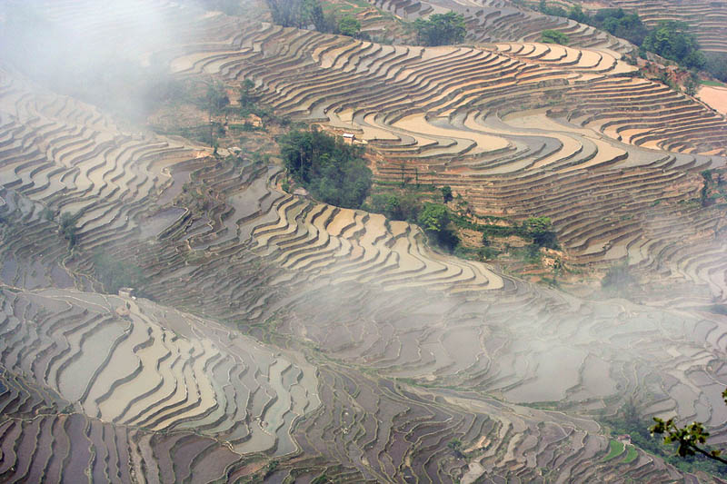 rice terraces 18 25 Unbelievable Photographs of Rice Terraces