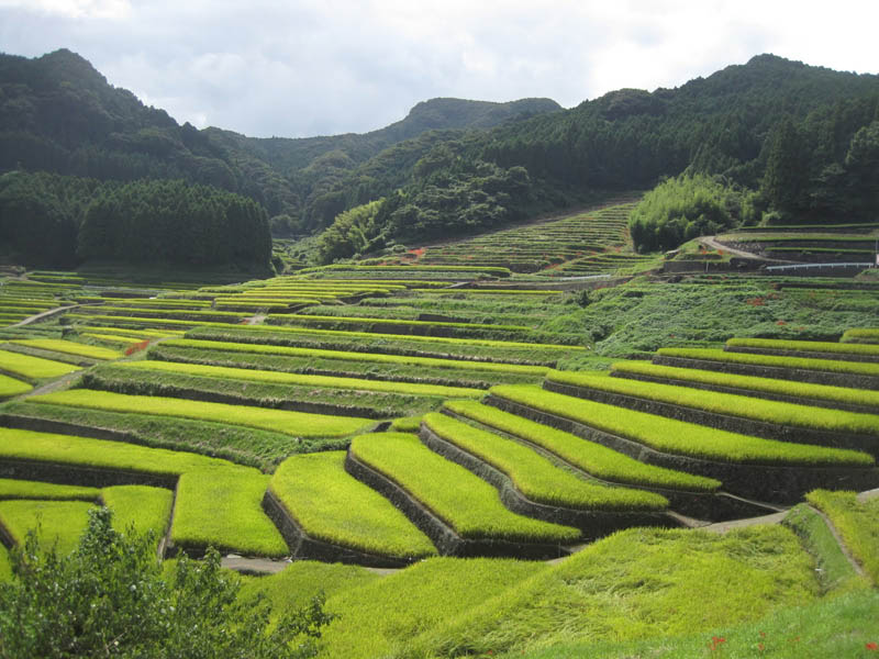 rice terraces 20 25 Unbelievable Photographs of Rice Terraces
