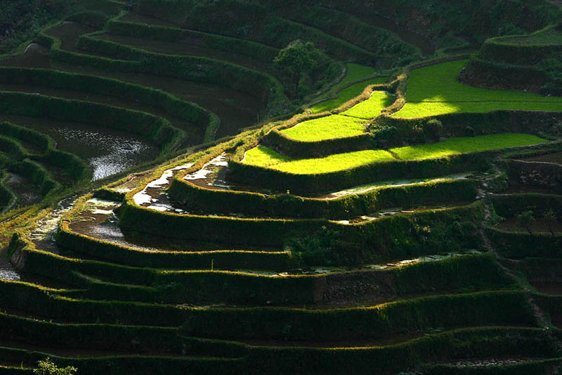 rice terraces 22 25 Unbelievable Photographs of Rice Terraces