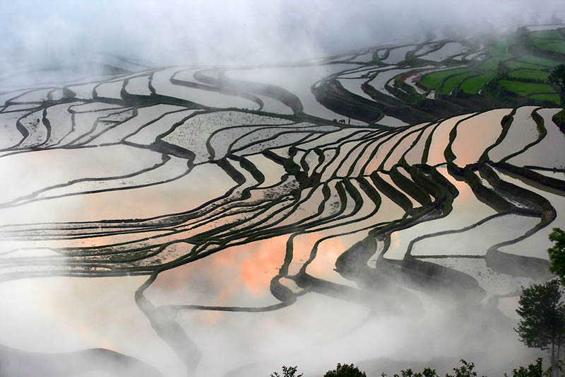 rice terraces 23 25 Unbelievable Photographs of Rice Terraces