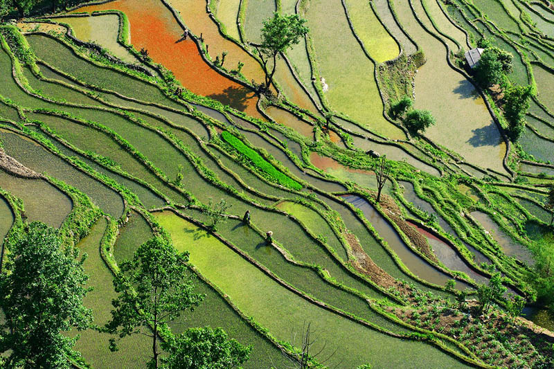 rice terraces 3 25 Unbelievable Photographs of Rice Terraces