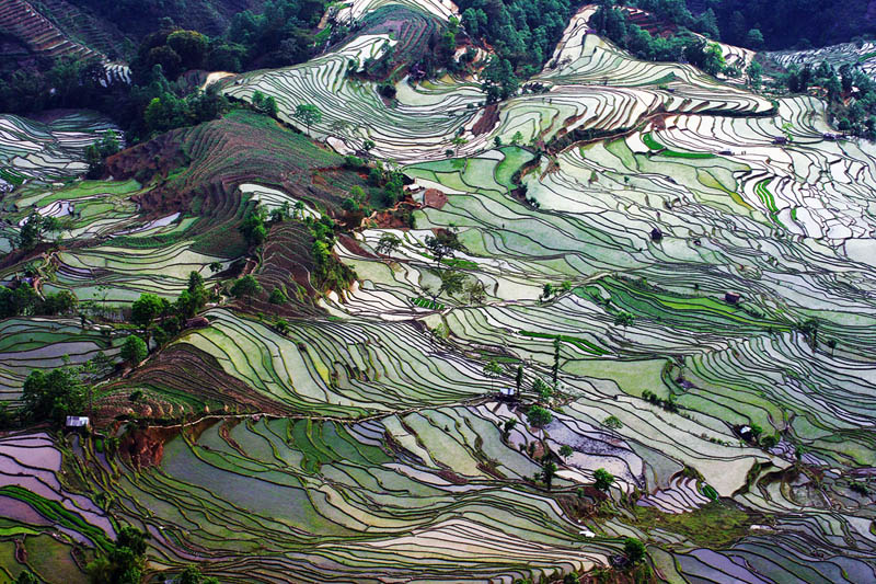 rice terraces 4 25 Unbelievable Photographs of Rice Terraces