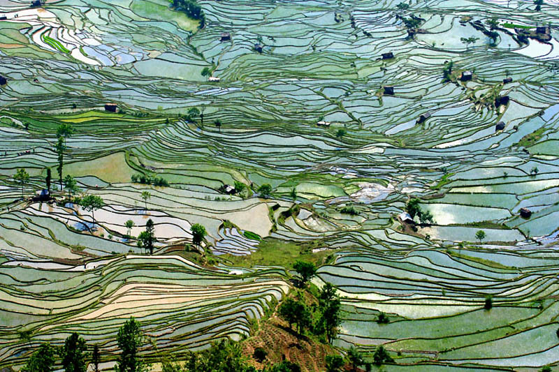 rice terraces 5 25 Unbelievable Photographs of Rice Terraces