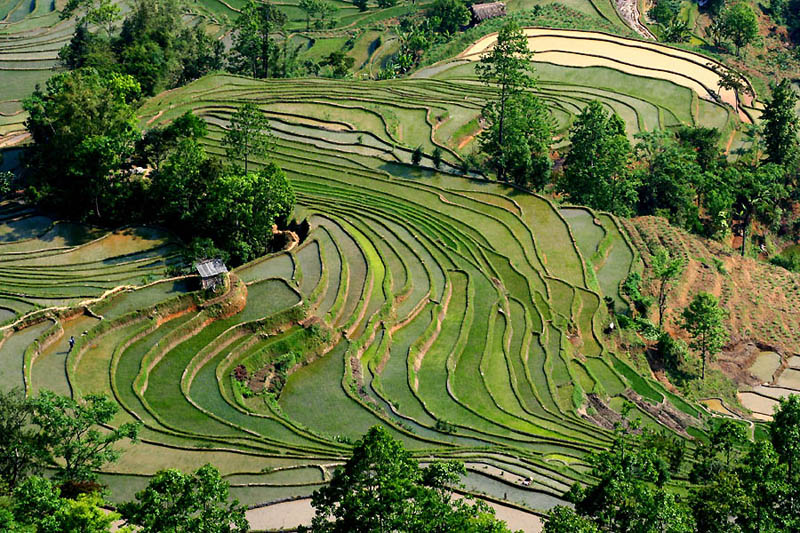 rice terraces 6 25 Unbelievable Photographs of Rice Terraces