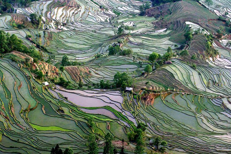rice terraces 7 25 Unbelievable Photographs of Rice Terraces