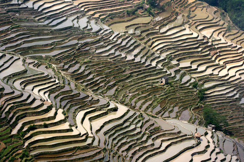 rice terraces 9 25 Unbelievable Photographs of Rice Terraces