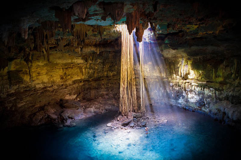 cenote freshwater sinkhole yacatan peninsula mexico Picture of the Day: A Sinkhole in the Yucatan