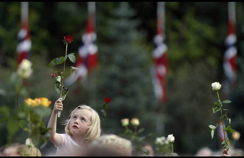 girl holding rose flower norway attack 2011 Picture of the Day: United We Stand