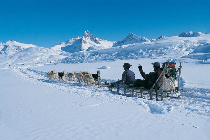 greenland dogsledding 10 Things You Didnt Know About Greenland