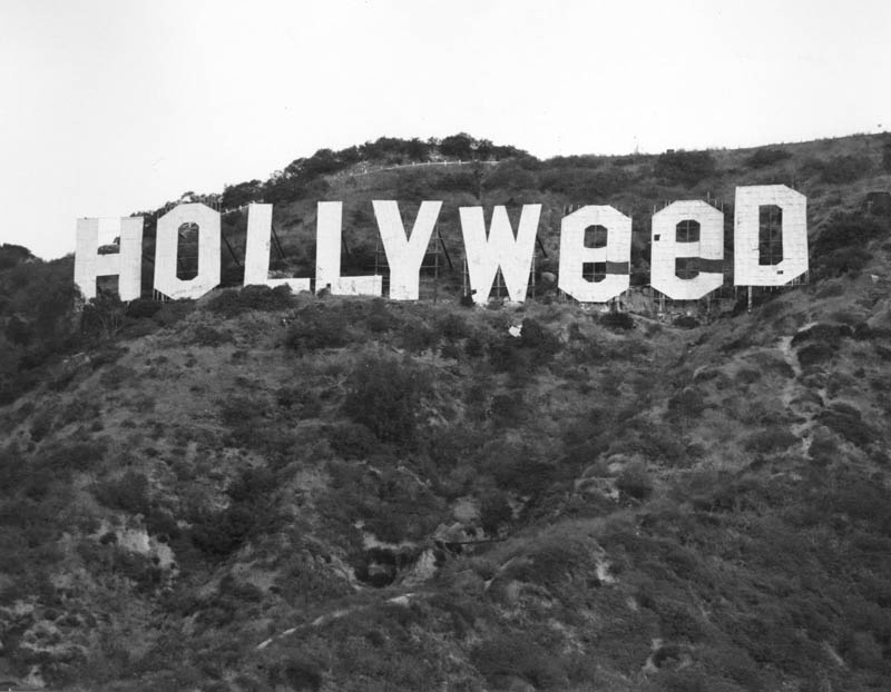 hollywood hollyweed sign This Day In History   July 13th