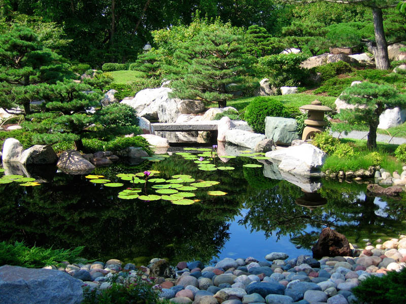japanese garden at como park conservatory 20 Stunning Japanese Gardens Around the World