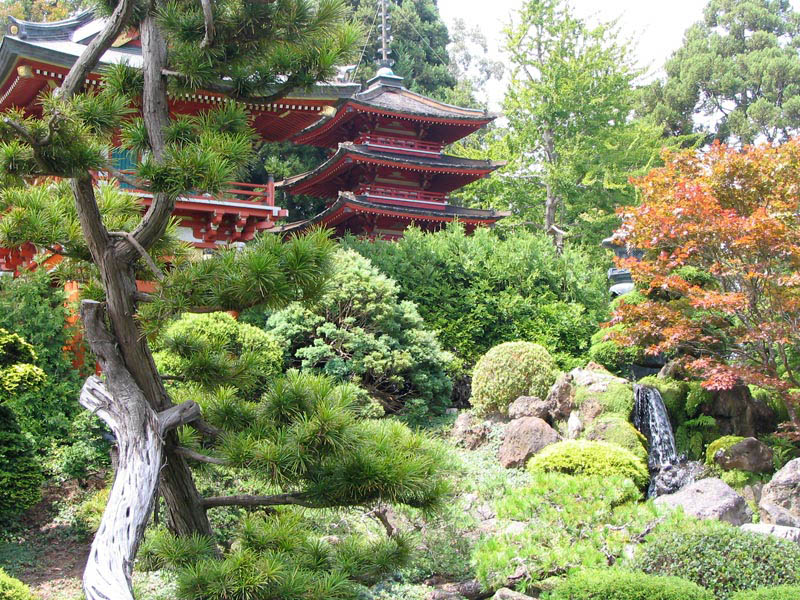 japanese tea garden in san francisco 20 Stunning Japanese Gardens Around the World
