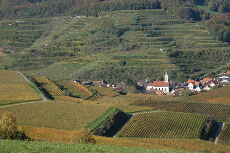 baden wurttemberg germany vineyard 35 Gorgeous Vineyards Around the World