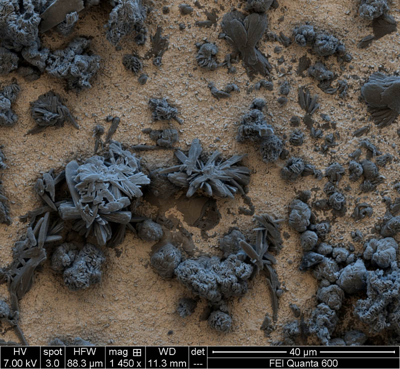 corosion on copper bond pad Incredible Examples of Electron Microscope Photography