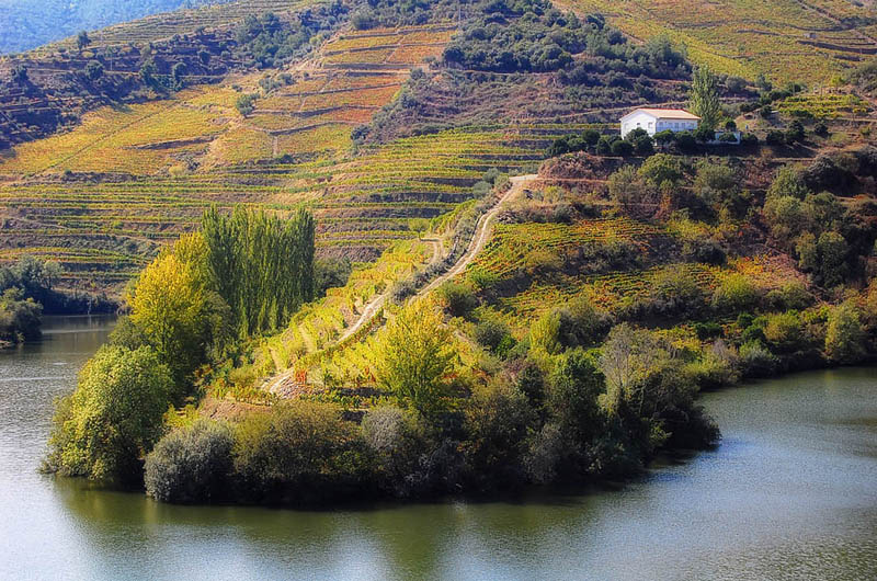 douro valley vineyard portugal 35 Gorgeous Vineyards Around the World
