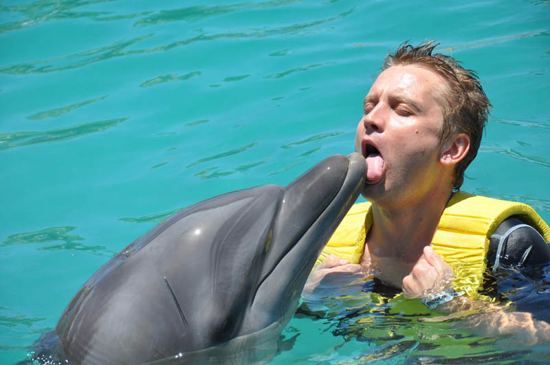 french kissing licking a dolphin The Friday Shirk Report   Volume 121