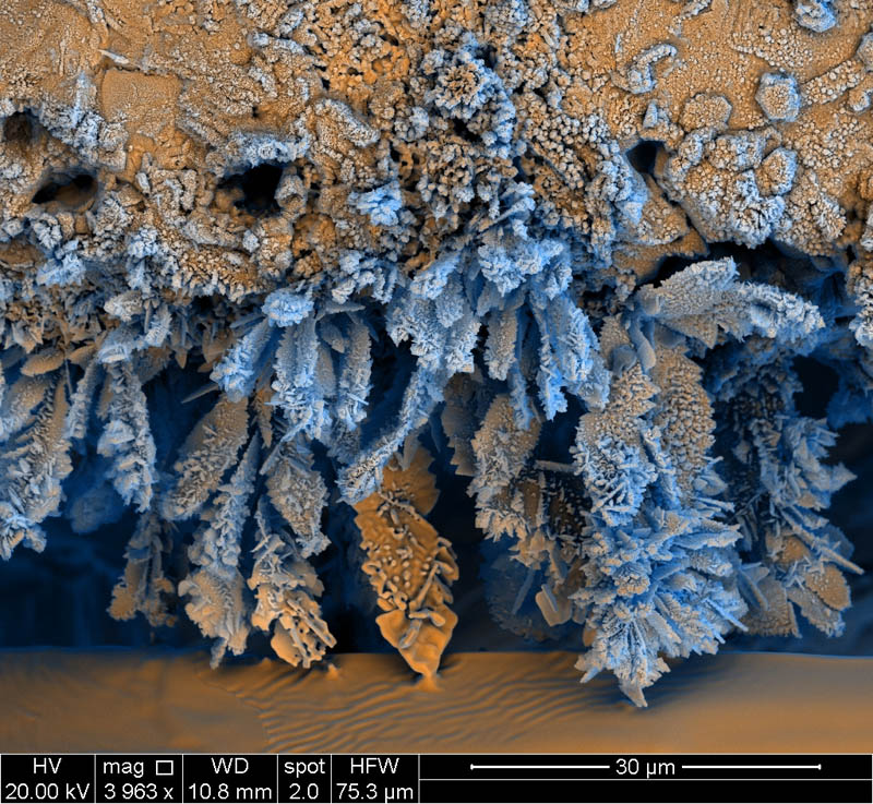 iron oxide electron microscope photograph francisco rangel Incredible Examples of Electron Microscope Photography