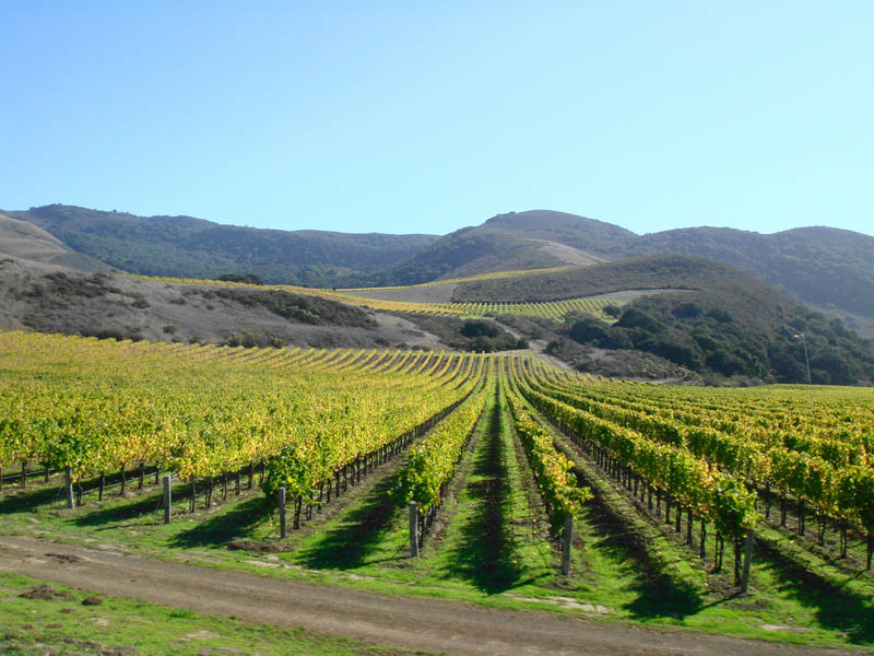 mission california us 35 Gorgeous Vineyards Around the World