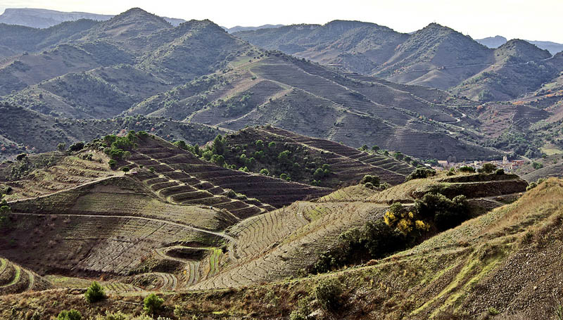 porrera priorat county catalonia 35 Gorgeous Vineyards Around the World
