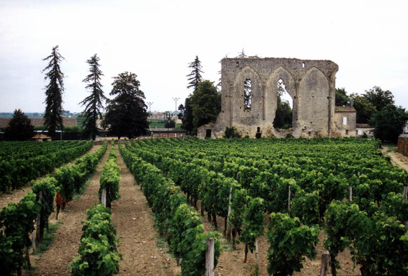 st emilion france vineyard 35 Gorgeous Vineyards Around the World
