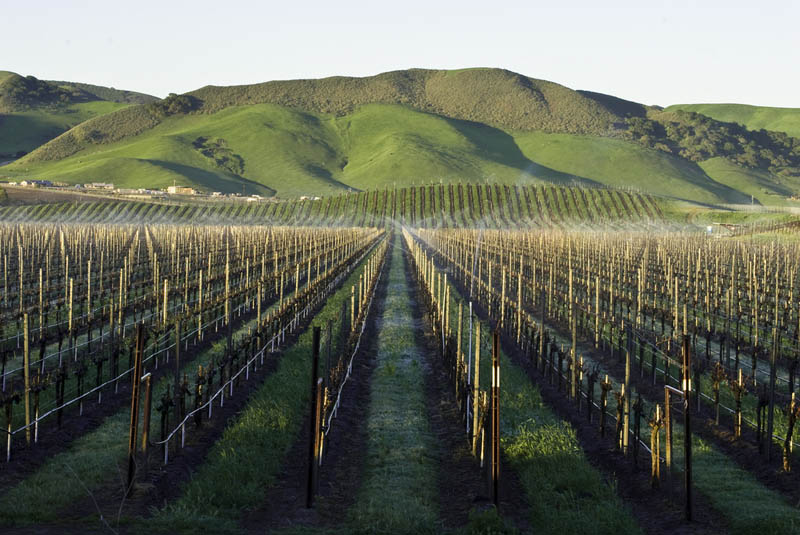vineyard los alamos santa barbara california 35 Gorgeous Vineyards Around the World