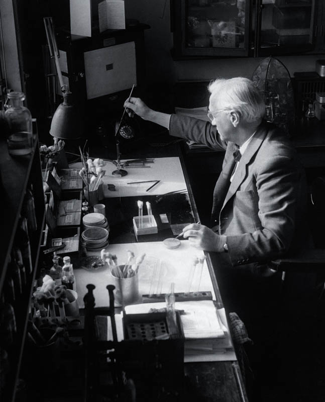 sir alexander fleming in lab This Day In History   September 28th