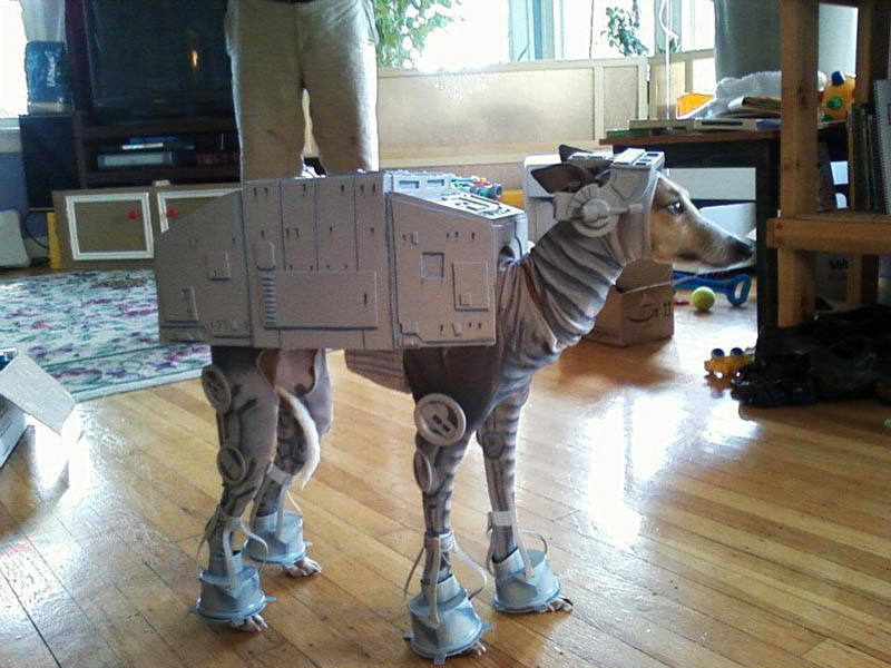 at at dog hilarious halloween costume 25 Hilarious Halloween Costumes from the Weekend