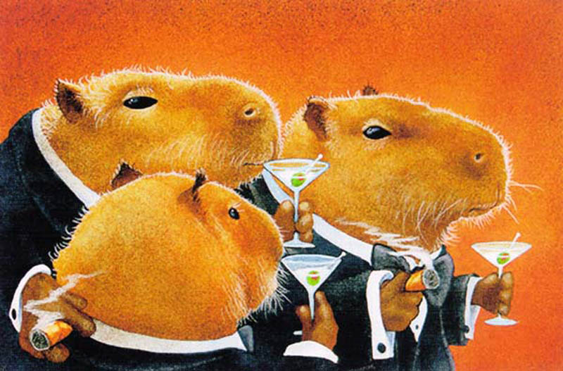 classy capybaras The Friday Shirk Report   Volume 133
