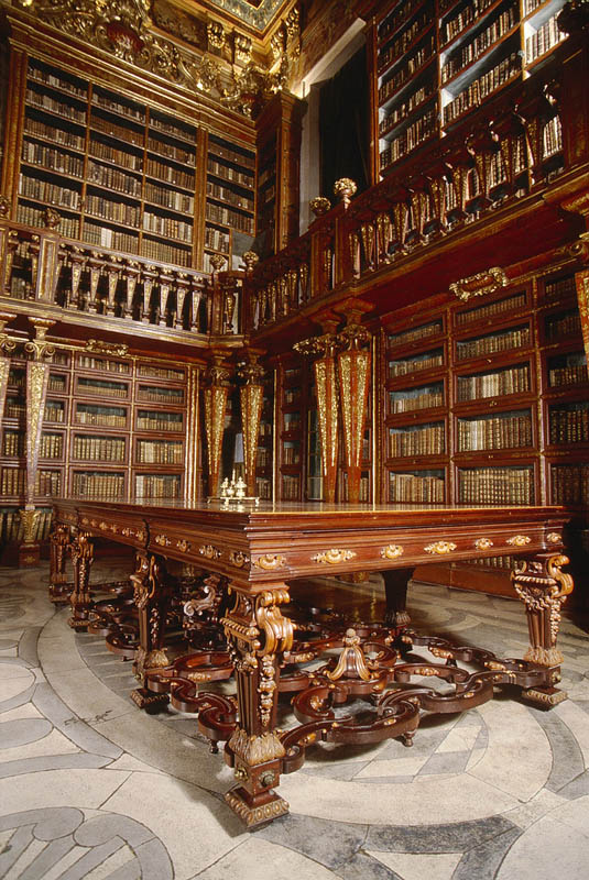 joanina library university of coimbra 3 15 Beautiful Libraries Around the World