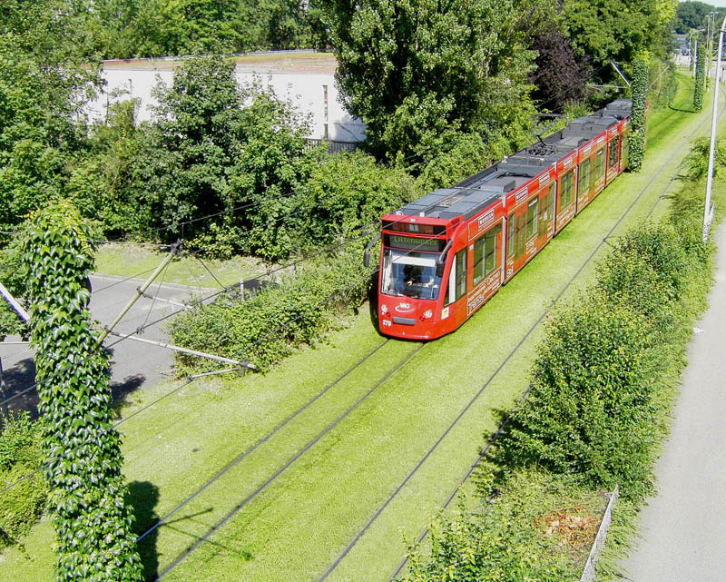 grassed tram tracks in freiburg germany Picture of the Day: Grassed Tramways of Freiburg, Germany