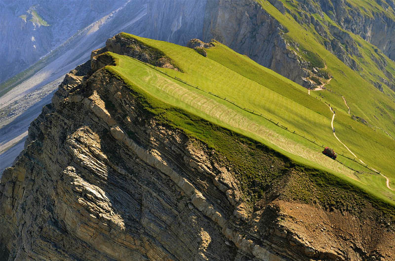 mountain farming in italy steep incline 2 Picture of the Day: Mountain Farming in Italy 