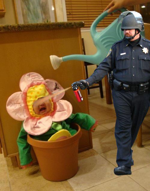 pepper spray cop water baby Pepper Spray All the Things: 35 Funniest Photoshops