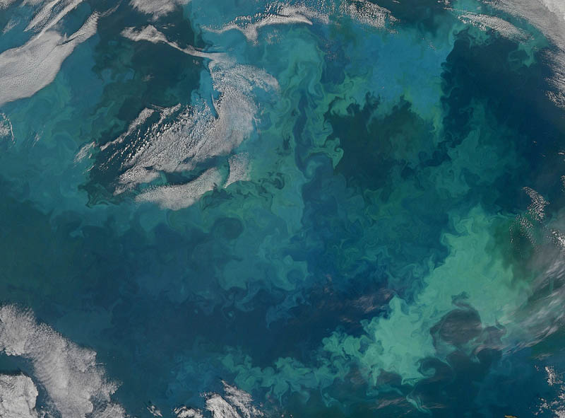 plankton bloom barents sea 15 Mind Blowing Featured Images by NASA