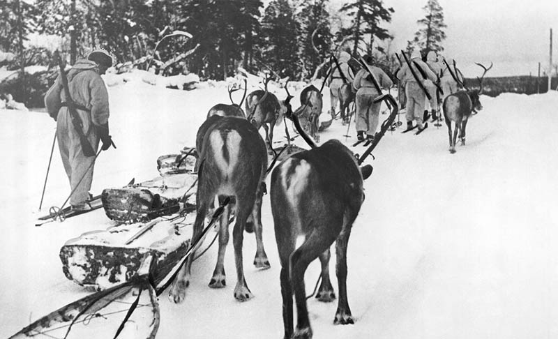 winter war finnish soldiers on skis with reindeer This Day In History   November 30th