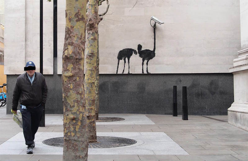banksy ostrich cctv Banksy Goes on a Holiday Tear [9 pics]