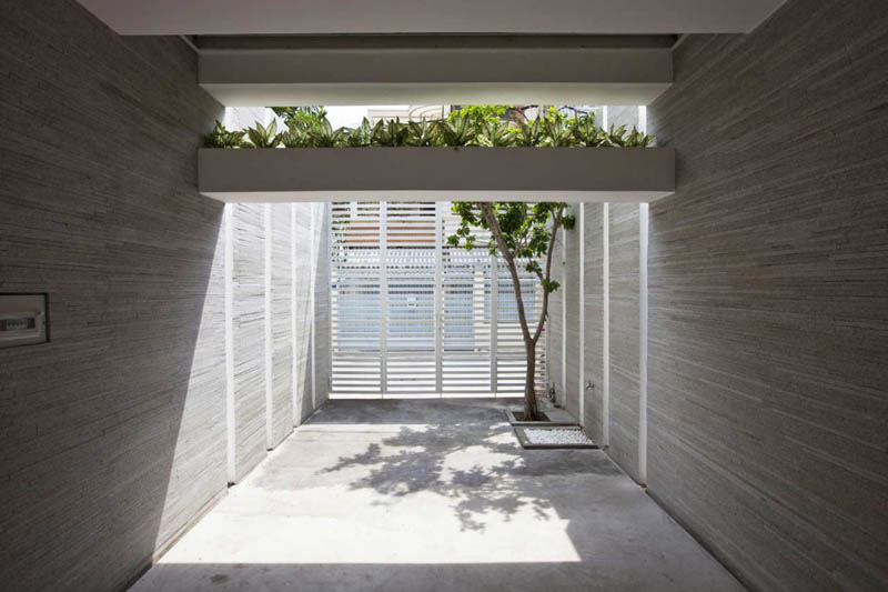 green house with planters for walls ho chi minh trang chu 17 Green Home in Ho Chi Minh has Living Walls