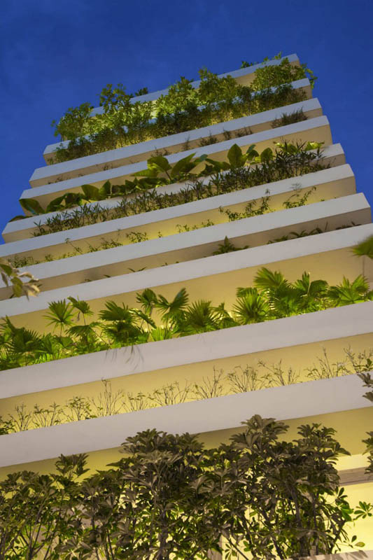 green house with planters for walls ho chi minh trang chu 18 Green Home in Ho Chi Minh has Living Walls
