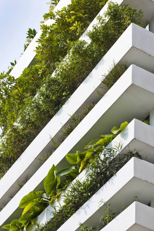 green house with planters for walls ho chi minh trang chu 2 Green Home in Ho Chi Minh has Living Walls