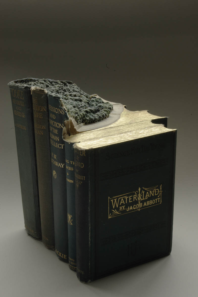 landscapes carved into books guy laramee 17 Incredible Landscapes Carved Into Books