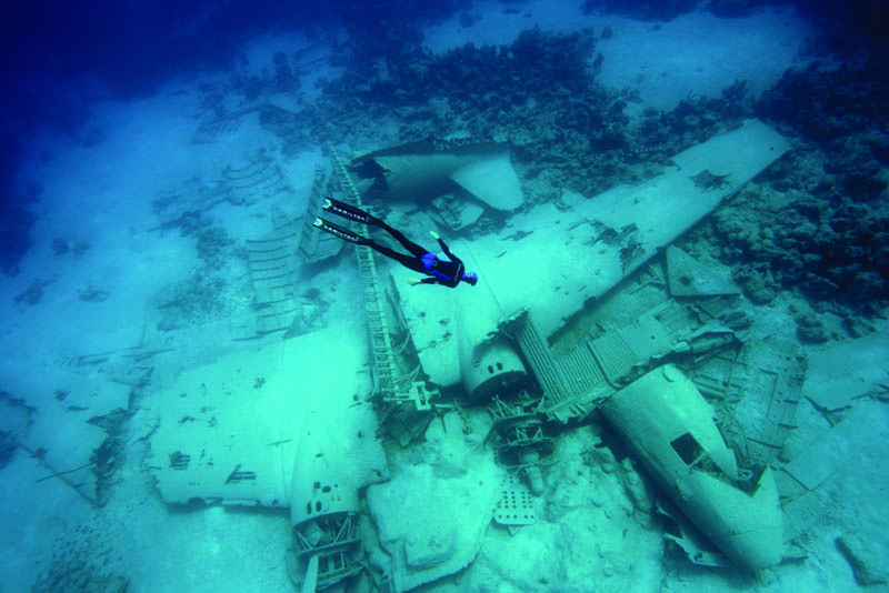 freediving an airplane wreck Picture of the Day: Freediving an Airplane Wreck