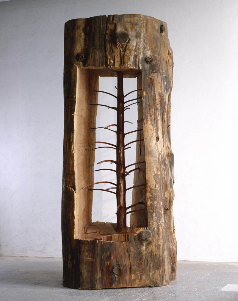 giuseppe penone sapling carved inside a tree trunk hidden life within Picture of the Day: The Hidden Life Within