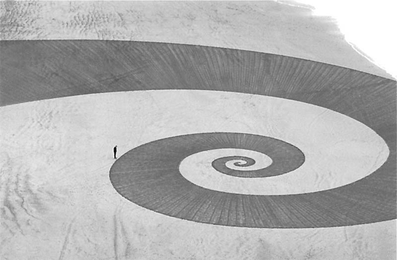 jim denevan giant beach sand art 4 The Colossal Land Art of Jim Denevan [30 pics]