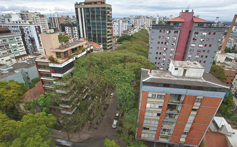 tree covered street porto alegre brazil rue goncalo de carvalho 3 Stunning Street in Porto Alegre, Brazil is Blanketed in Trees