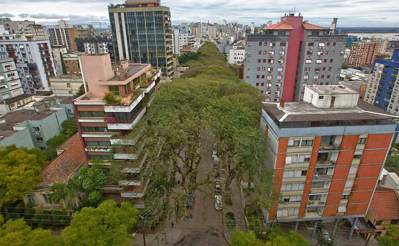 tree covered street porto alegre brazil rue goncalo de carvalho 6 Stunning Street in Porto Alegre, Brazil is Blanketed in Trees